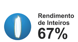Rend67-1 Rend67-1