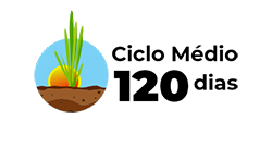 ICO_CICLO_120